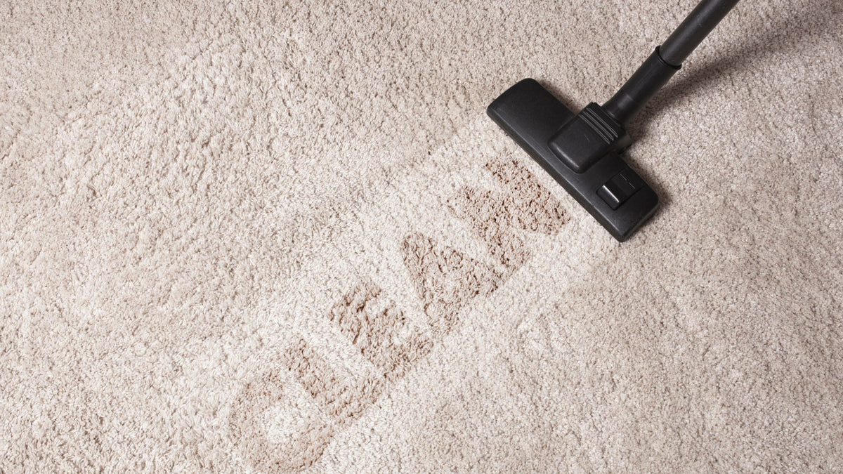 How to Clean Mold in Carpet Effective Removal Techniques All About Tidy