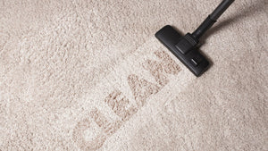 clean mold in carpet