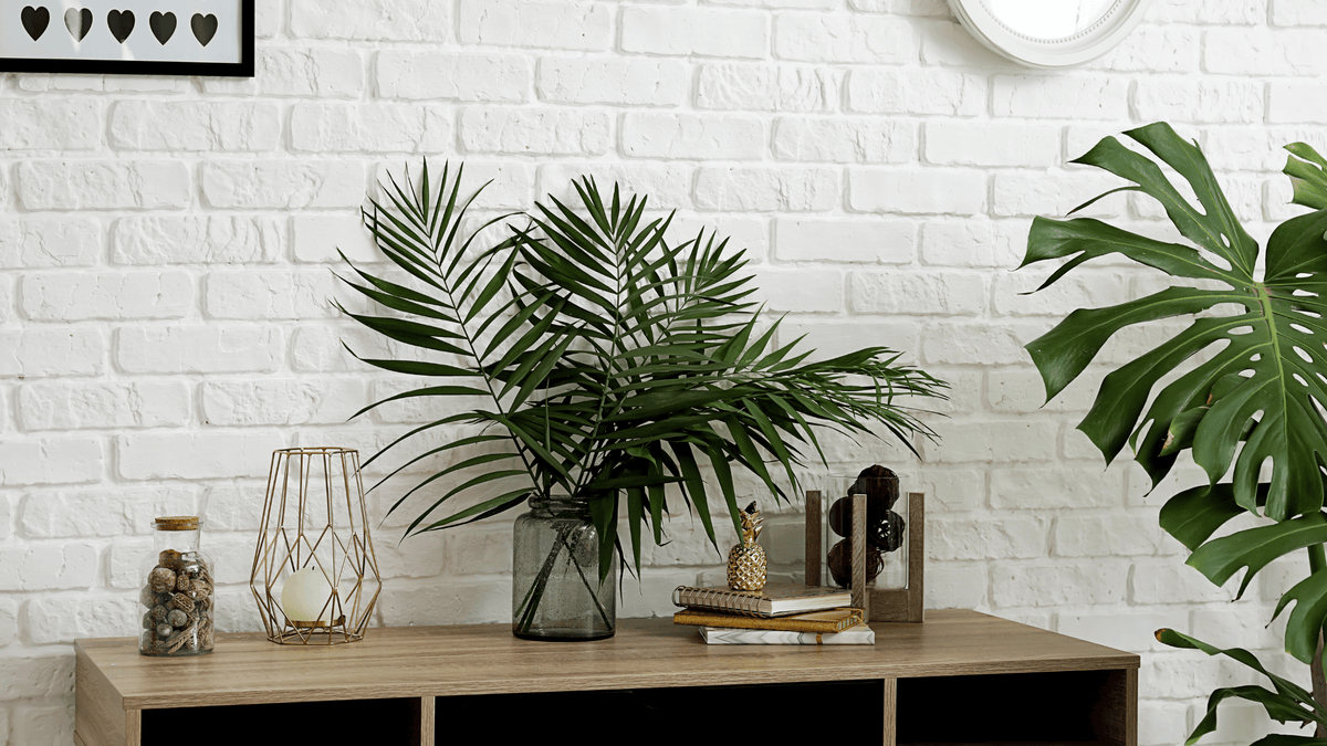 Best Fake House Plants of 2024 for Low Maintenance Greenery All About Tidy