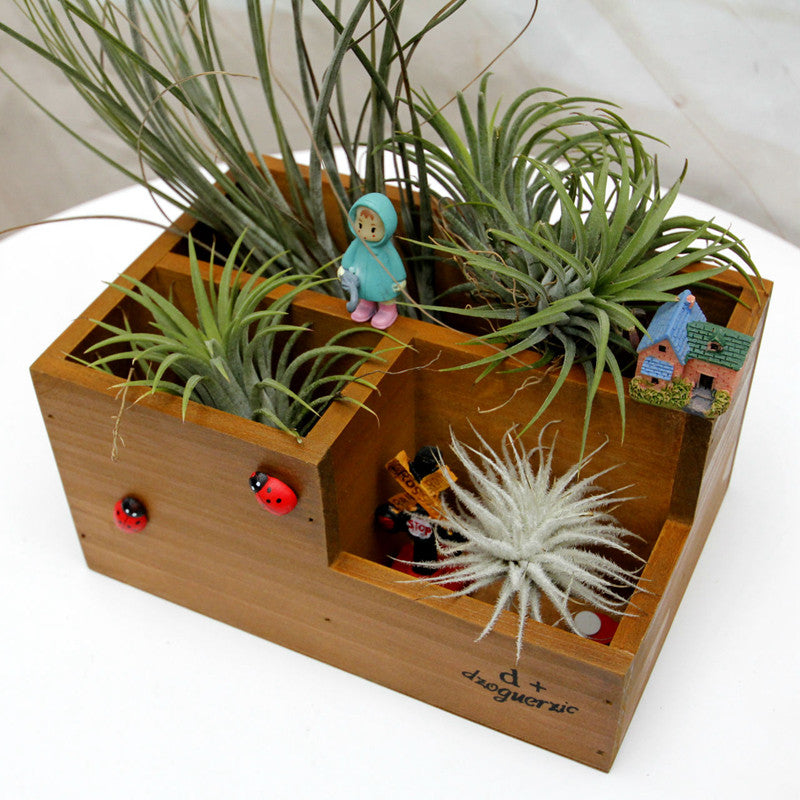 desktop succulent planter Multifunctional Wooden Desktop Office Supply Caddy and Succulent Plant –  All About Tidy