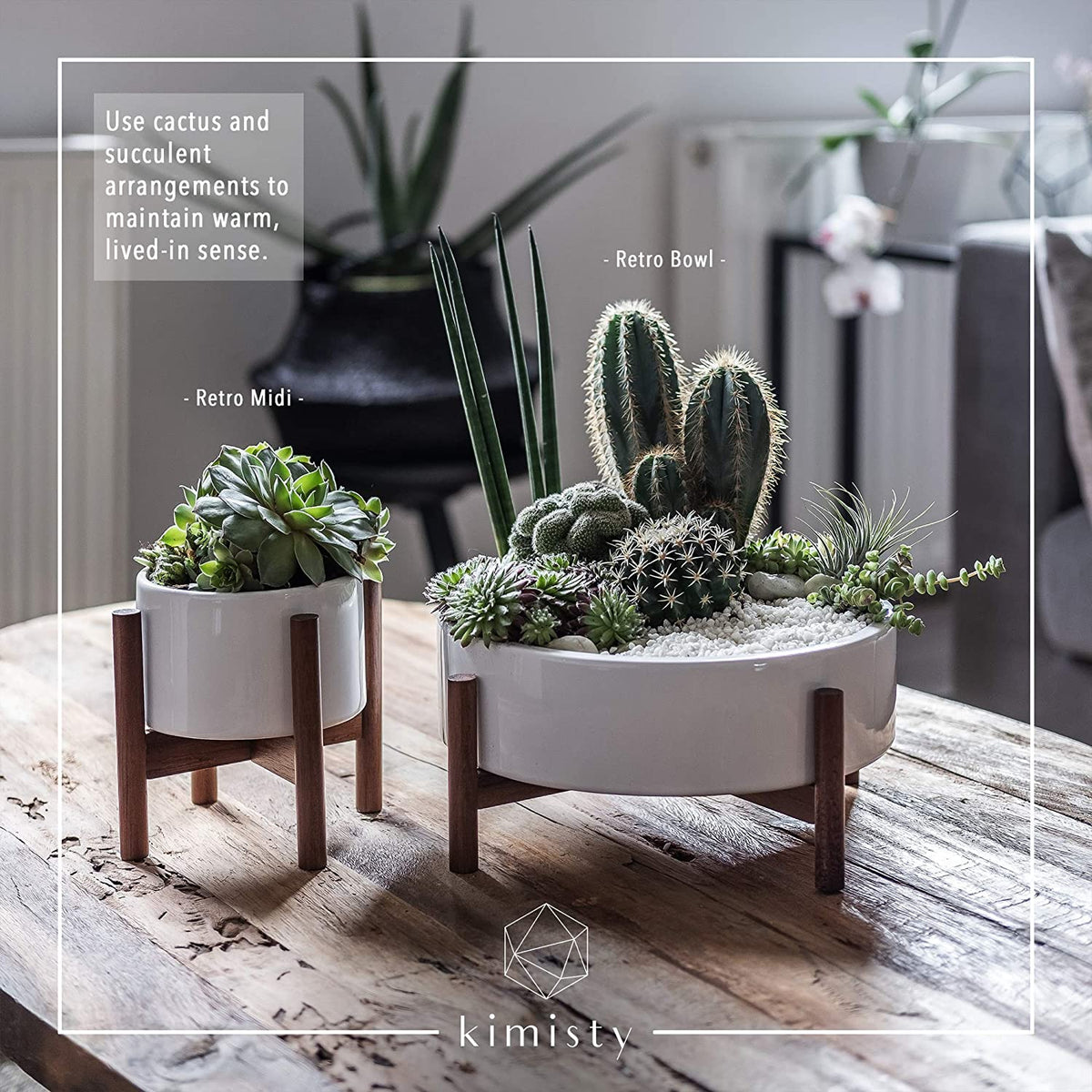 large round succulent planter Mid Century Modern Large Round Succulent Planter – All About Tidy