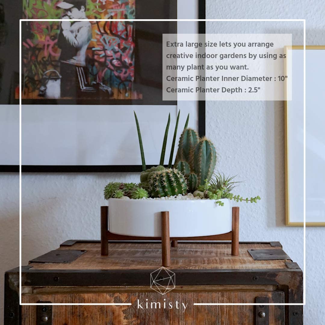 mid century succulent planter Mid Century Modern Large Round Succulent Planter – All About Tidy