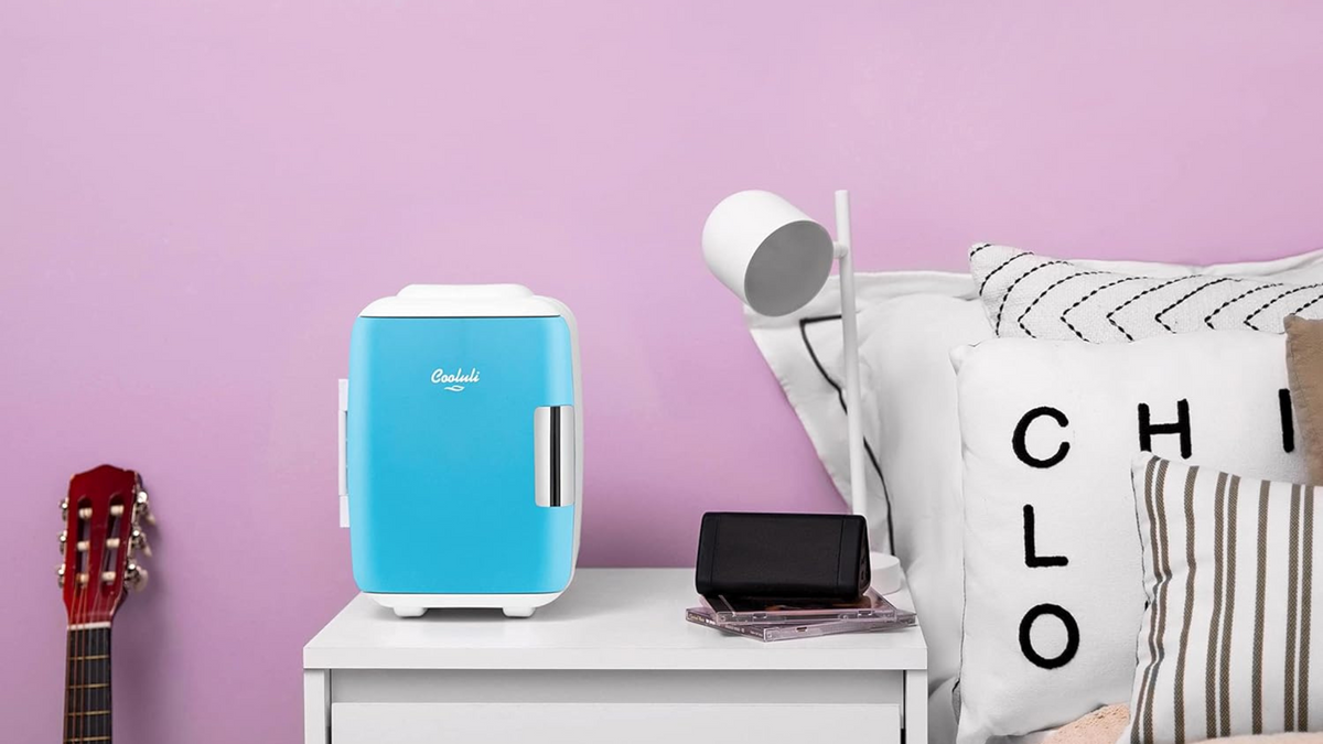 23 Best Dorm Refrigerators for College Students in 2024 All About Tidy