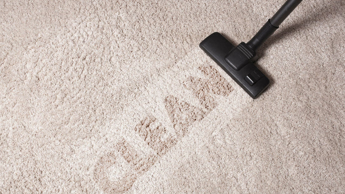 How to Clean Mold in Carpet: Effective Removal Techniques