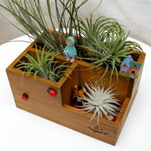 Multifunctional Wooden Desktop Office Supply Caddy and Succulent Planter