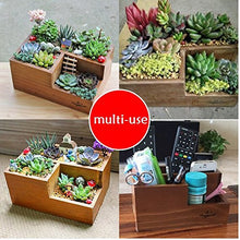Multifunctional Wooden Desktop Office Supply Caddy and Succulent Planter