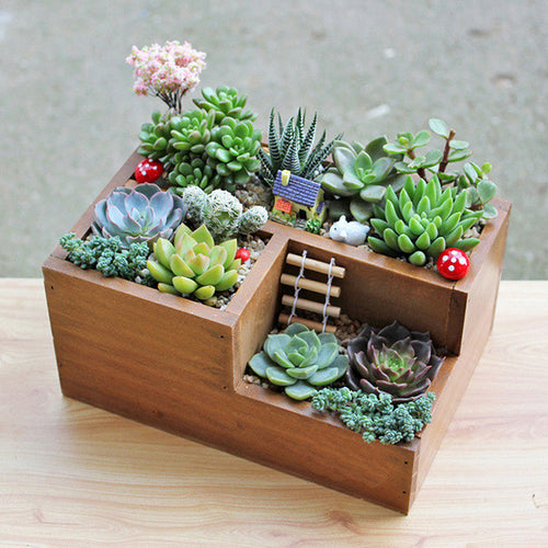 Multifunctional Wooden Desktop Office Supply Caddy and Succulent Planter