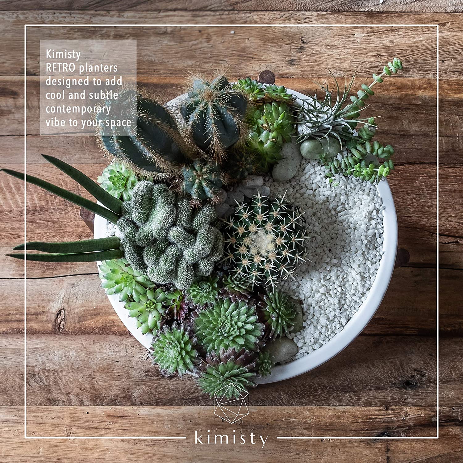 circle succulent planter Mid Century Modern Large Round Succulent Planter – All About Tidy