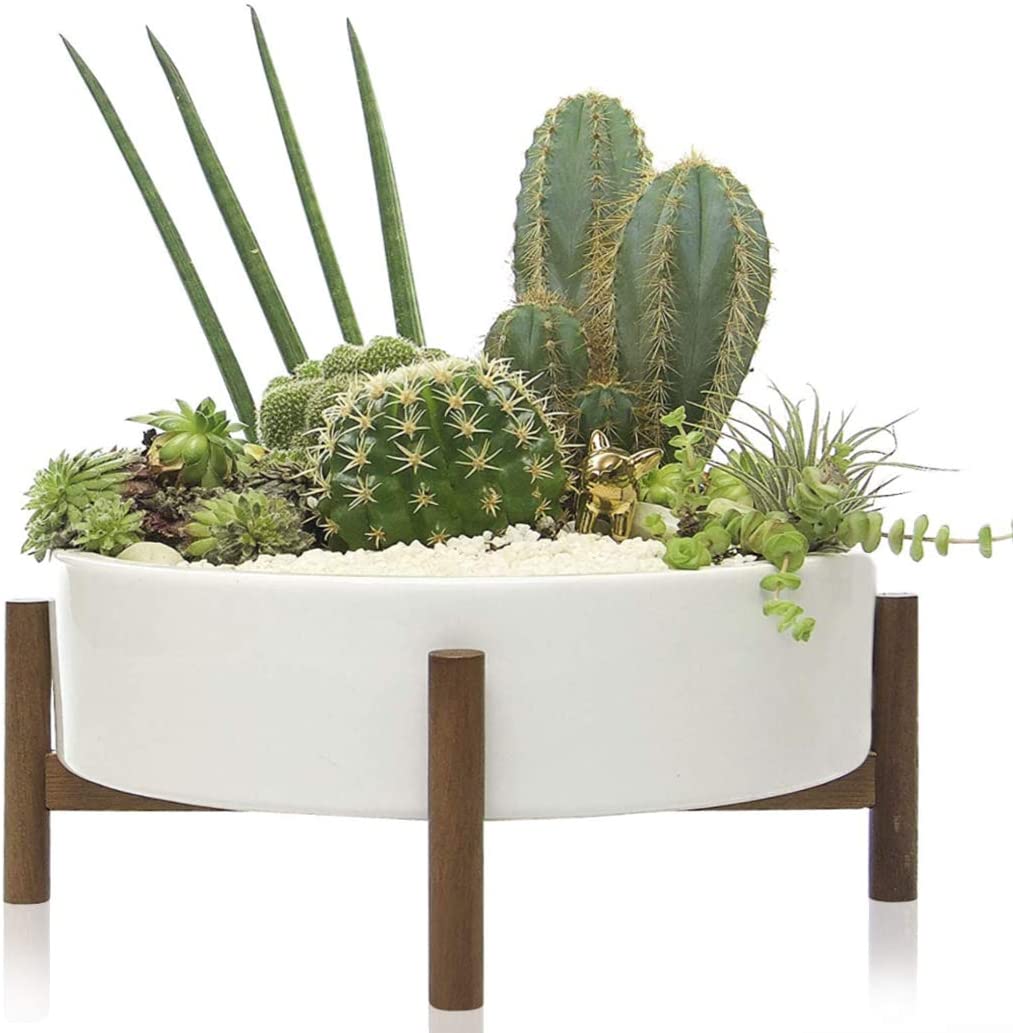 Mid Century Modern Large Round Succulent Planter