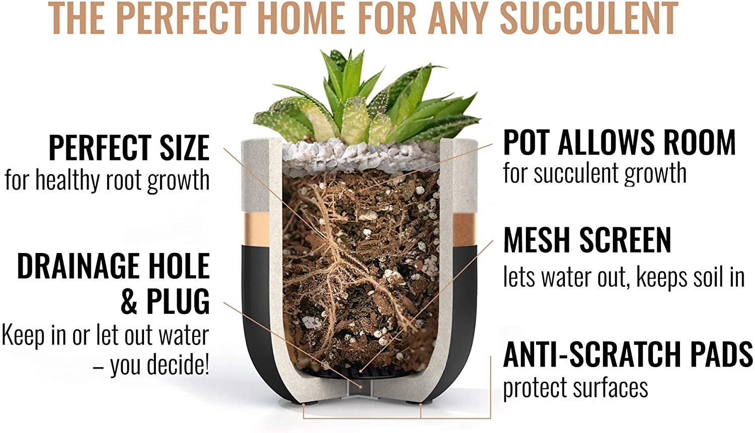 do succulent pots need holes Set of 3 Succulent Planter Pots – All About Tidy