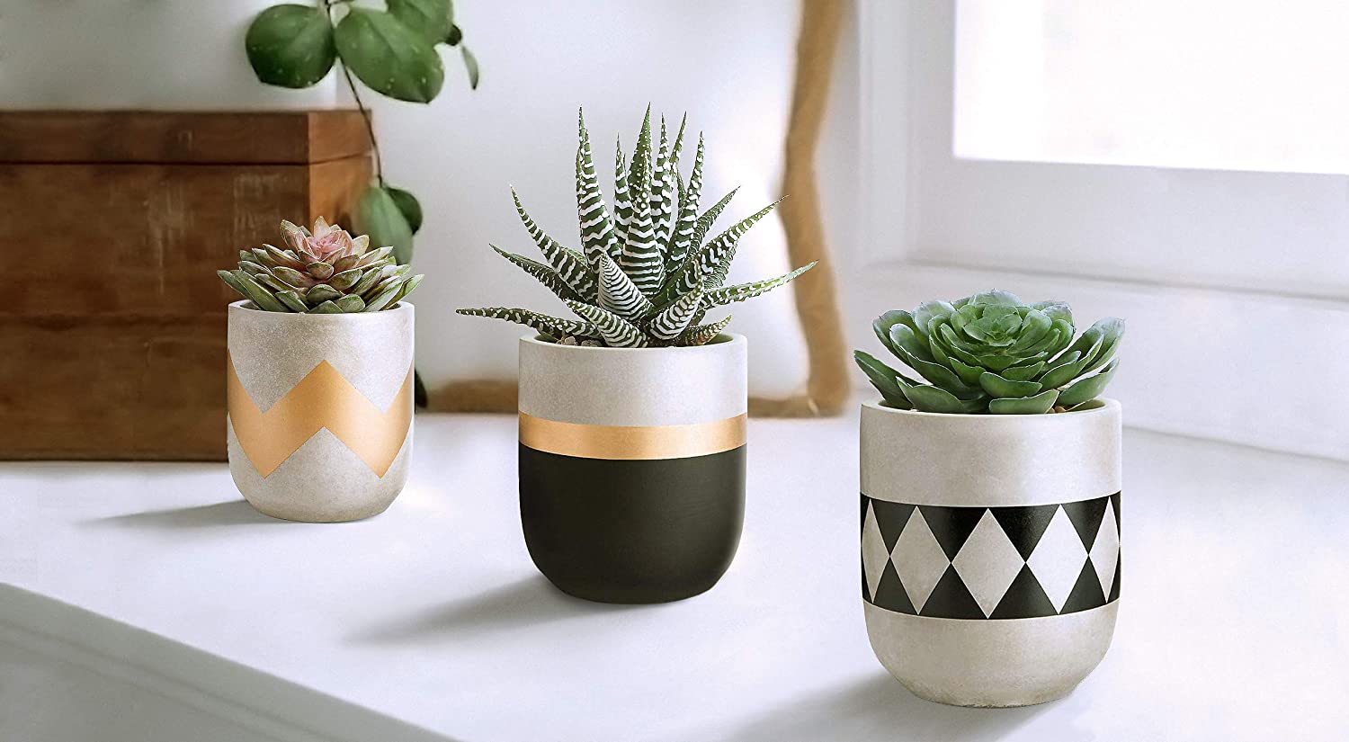 set of 3 succulent pots Set of 3 Succulent Planter Pots – All About Tidy